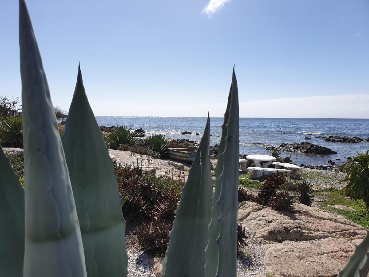 Westbed Hotel Langebaan Exterior photo